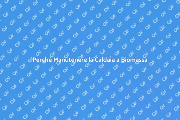 Manutenzione e Caldaie a Biomassa