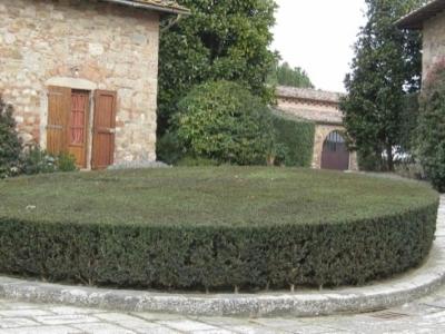 Tecnogreen  - Foto 7