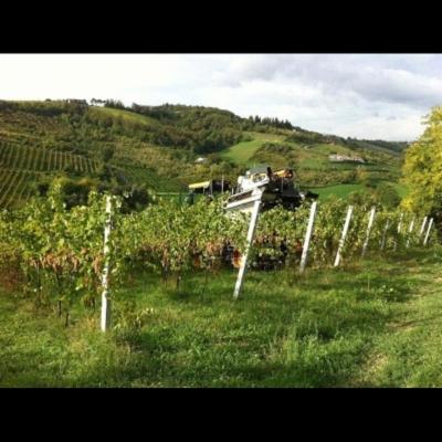 Groupservice  - Foto 3