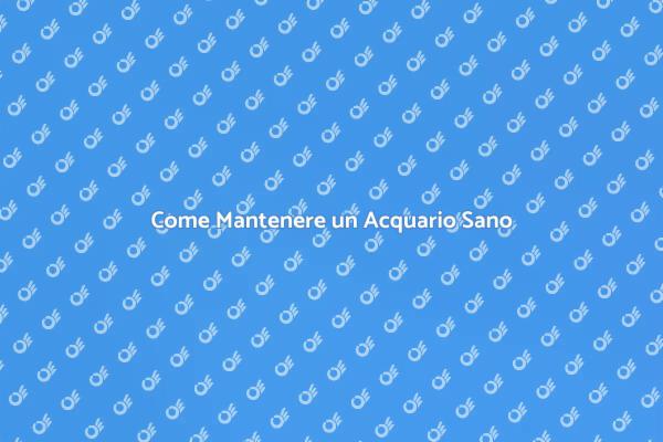 Guida alla Manutenzione dell'Acquario