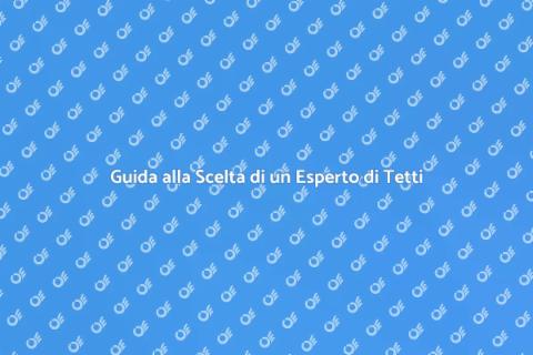 Assumere un Professionista di Tetti