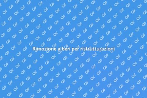 Abbattere alberi per costruzione sicura