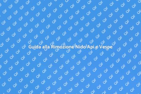 Rimuovere Nido Api o Vespe Sicuramente