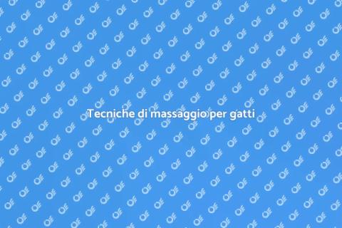 Massaggio rilassante per gatti