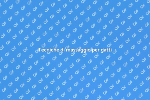 Rilassa il tuo gatto con il massaggio
