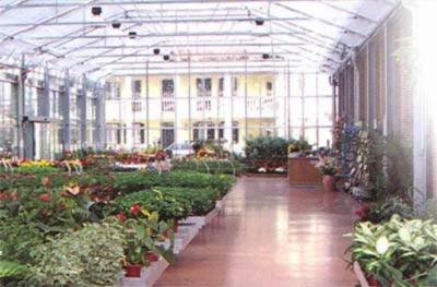 Fioreria Vivaio Duri'  - Foto 2
