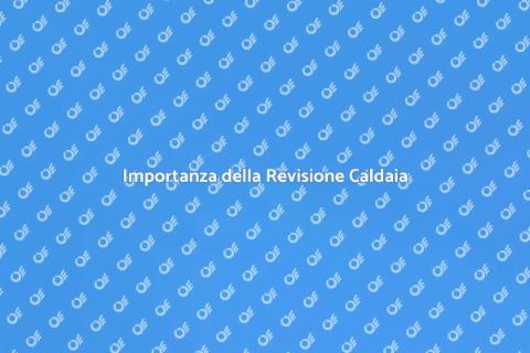 Revisione Caldaia a Basamento Essenziale