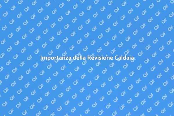 Revisione Caldaia: Comfort e Sicurezza