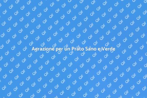 Aerare il Prato per un Giardino Verde