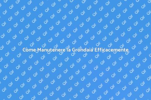 Manutenzione Grondaia: Guida Completa