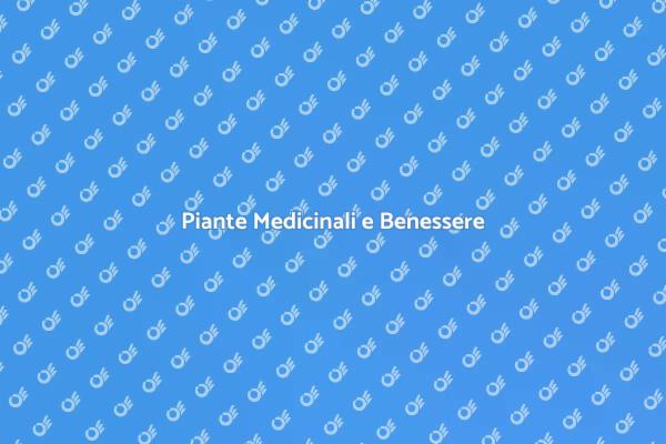 Fitoterapia: Soluzioni Naturali per Te