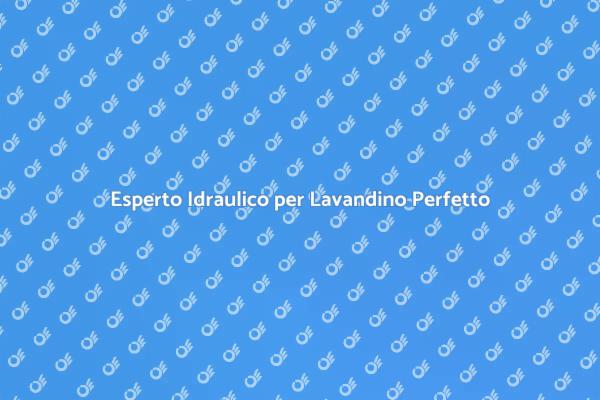 Risolvi i Problemi del Tuo Lavandino