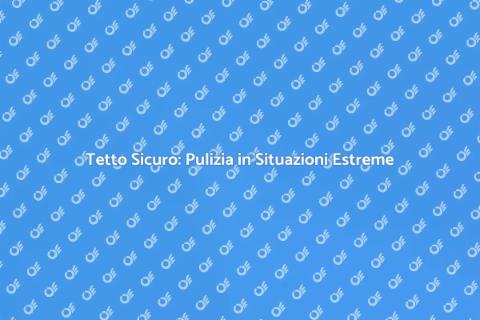 Pulizia Tetto in Situazioni Estreme