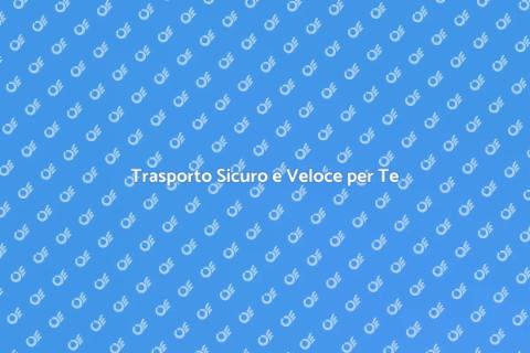 Servizio di Trasporto Efficace e Sicuro