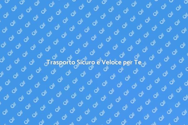 Vantaggi di un Servizio di Trasporto