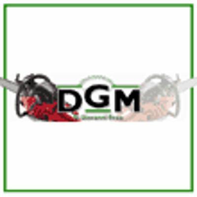 Dgm  - Foto 1