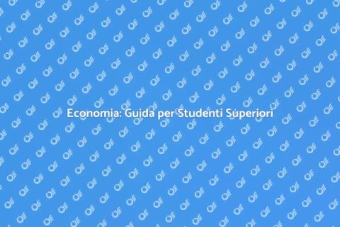 Guida Pratica di Economia per Superiori