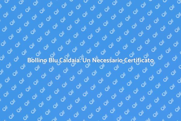 Sicurezza Caldaia: Licenza Bollino Blu