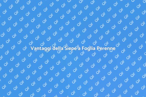 Siepe a Foglia Perenne: Bellezza e Privacy