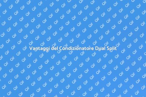 Assistenza Condizionatore Dual Split
