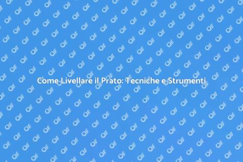 Livellamento Prato: Guida Essenziale