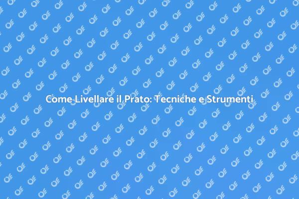 Livellamento del Prato: Consigli Utili