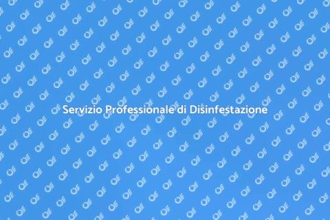 Disinfestazione Blatte Efficace e Veloce