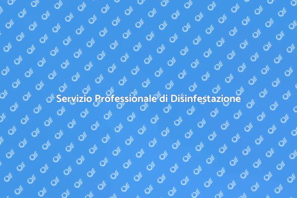 Liberati dalle Blatte con i Nostri Esperti