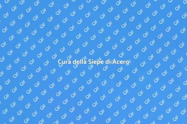 Come Mantenere la Siepe di Acero