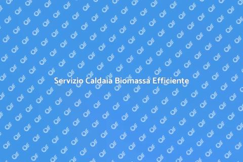 Assistenza Caldaia Biomassa Efficiente