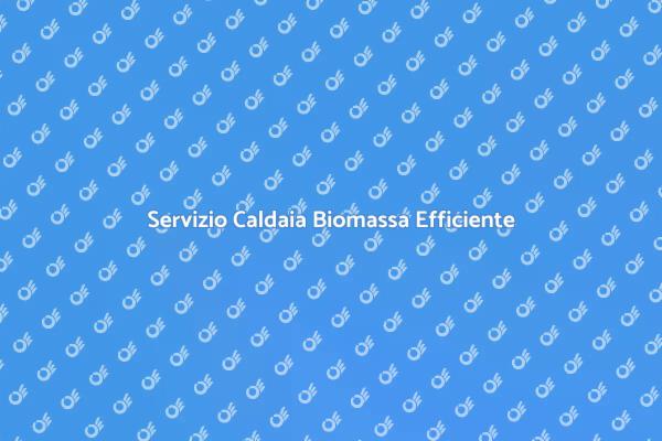 Comfort Ecologico con Caldaia Biomassa
