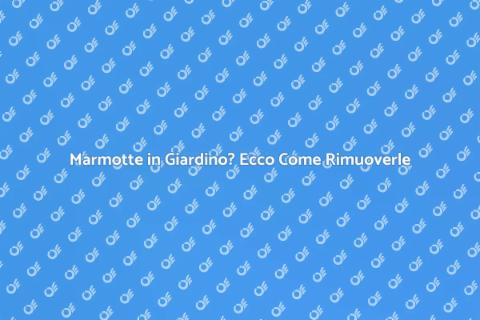 Rimozione Marmotte: Proteggi la Tua Casa