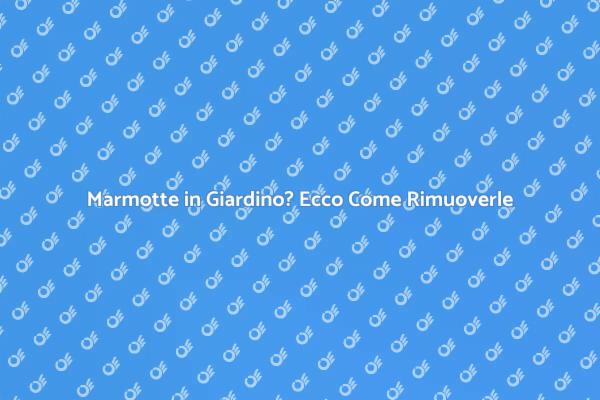 Rimozione Marmotte: Soluzioni Efficaci