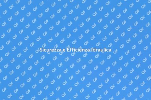 Controllo Idraulico Edificio Istituzionale