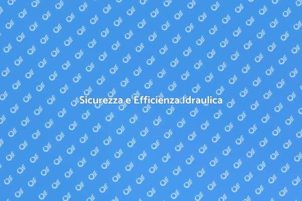 Controllo Idraulico: Sicurezza Primaria