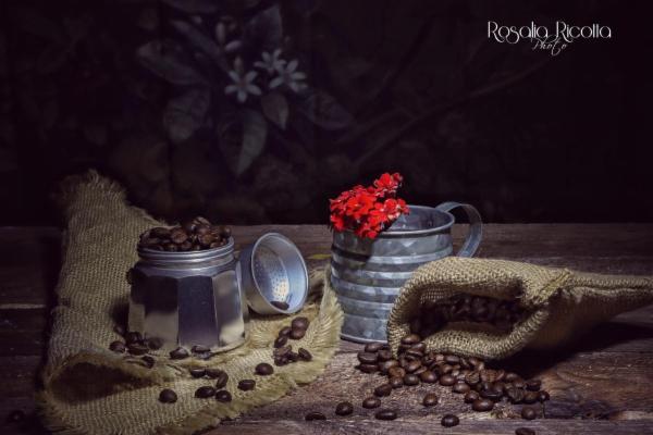 Rosalia Ricotta - Foto 10