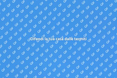 Protezione contro le termiti in casa