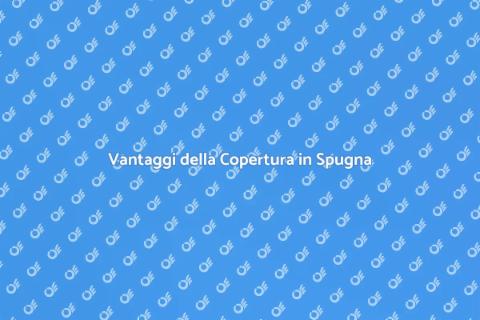 Installare Copertura in Spugna