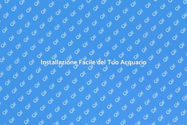 Trasforma il Tuo Spazio con un Acquario