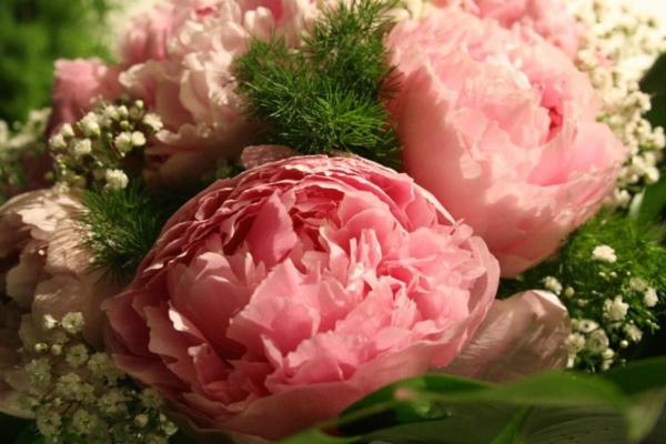 Wedding planner Marina  - Foto 1
