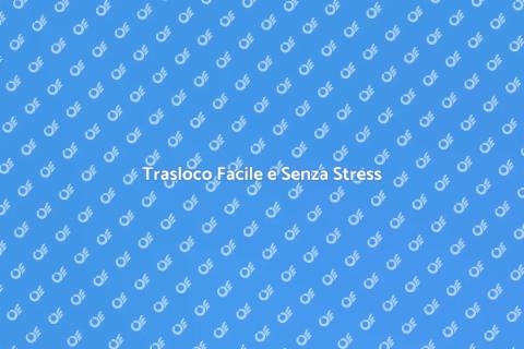 Assicurare un Trasloco Senza Stress