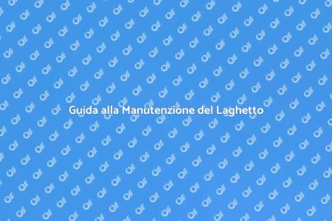 Manutenzione Laghetto con Pesci