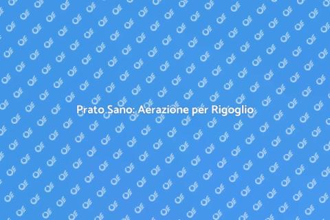 Aerare il Prato per una Crescita Sana