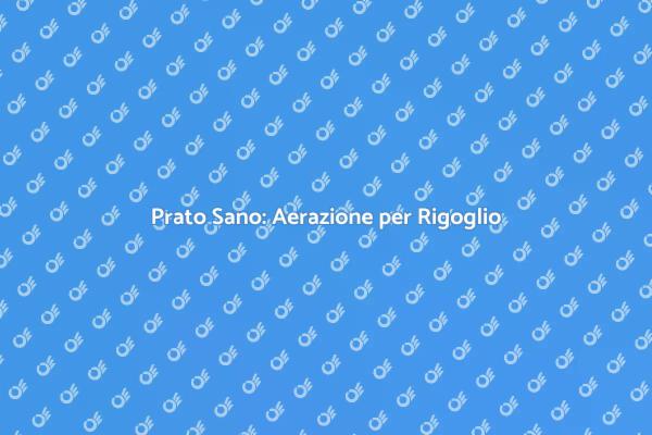 Aerazione: il Segreto per un Prato Sano