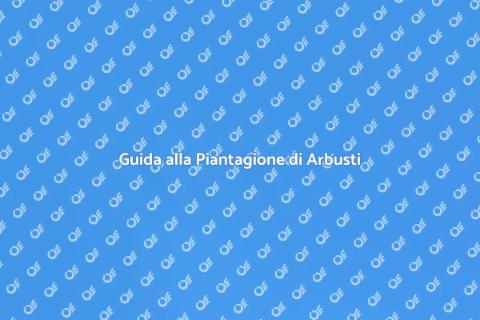 Piantare Arbusti nel Giardino