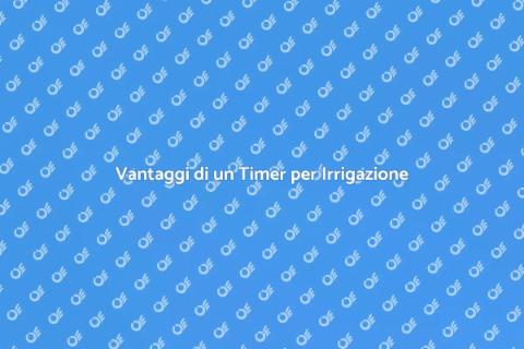 Timer Irrigazione per Parchi Aziendali