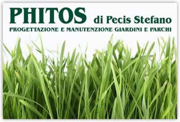 Phitos  - Foto 1