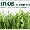 Phitos 