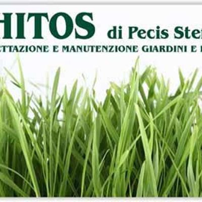 Phitos