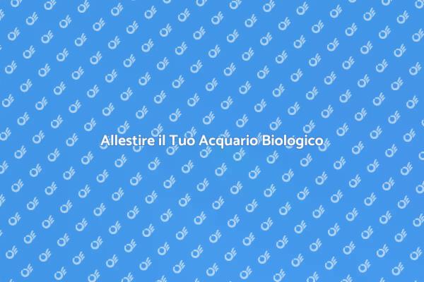 Creare un Acquario Biologico Perfetto